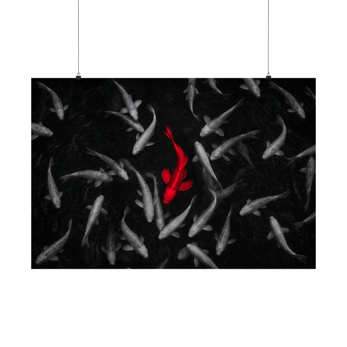 The Red Koi - Red And Black Wall Art | Matte Poster (Landscape)