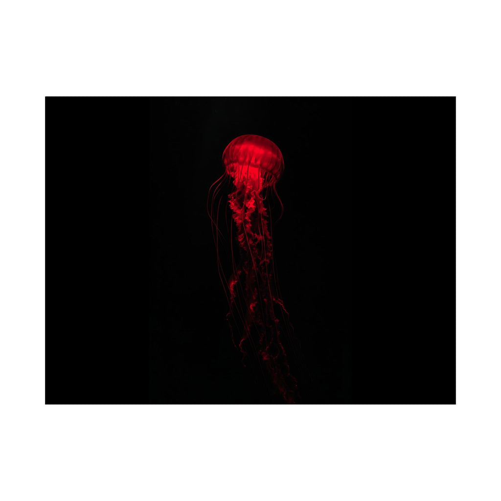The Drifter - Red Wall Art Decor | Matte Poster (Landscape)