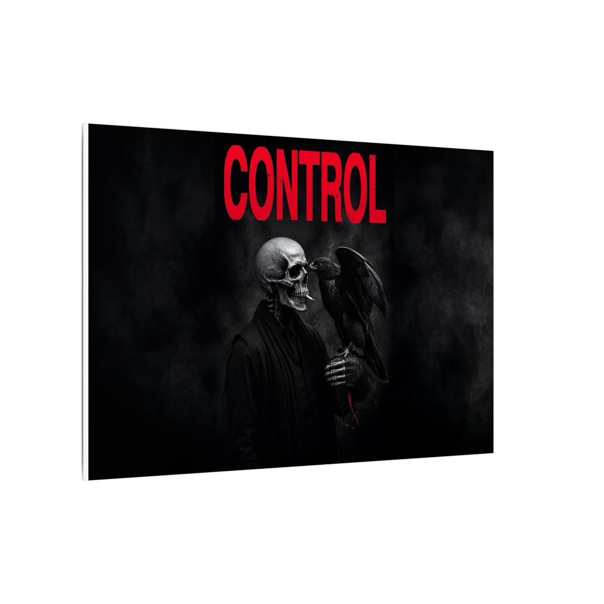 Control - Gothic Raven Artwork | Canvas (Landscape)