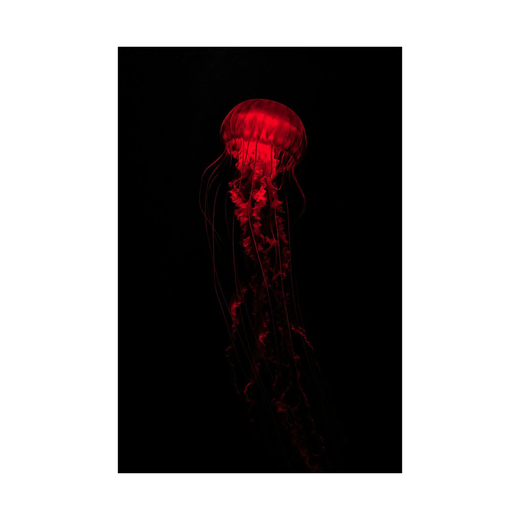 The Drifter - Red Wall Art Decor | Matte Poster