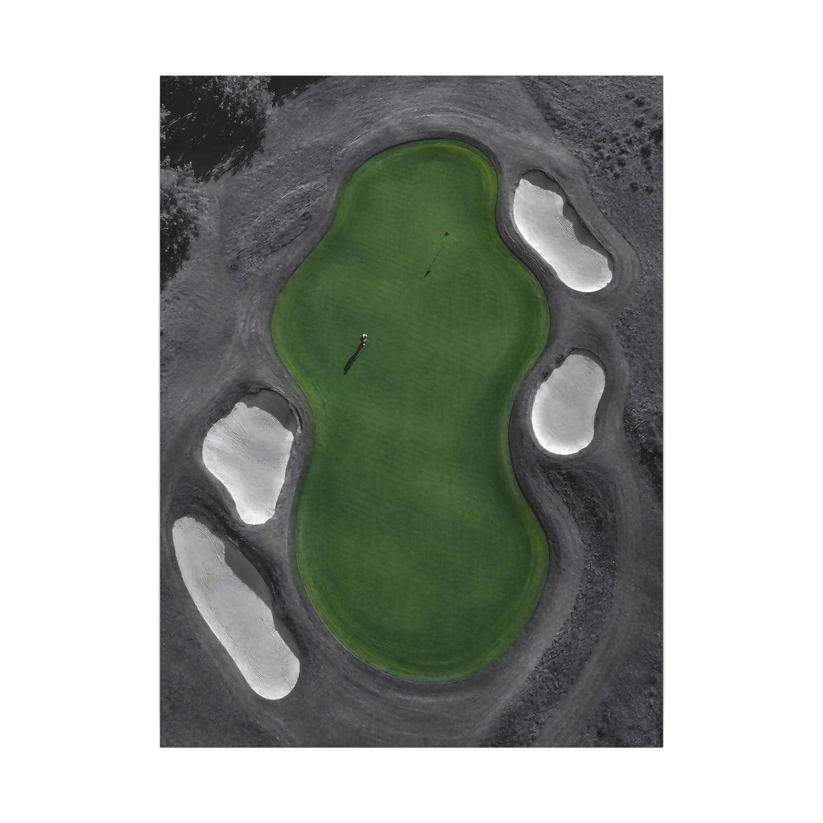 Aerial Solitude - Golf Course Wall Art | Canvas