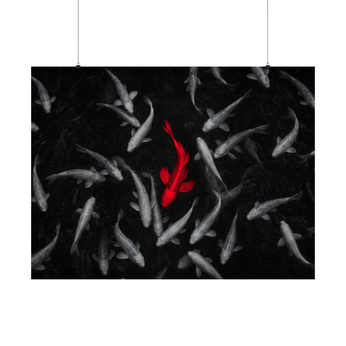 The Red Koi - Red And Black Wall Art | Matte Poster (Landscape)