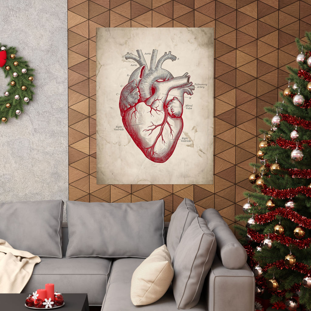 The Anatomical Heart - Wall Art For Doctor Office | Matte Poster