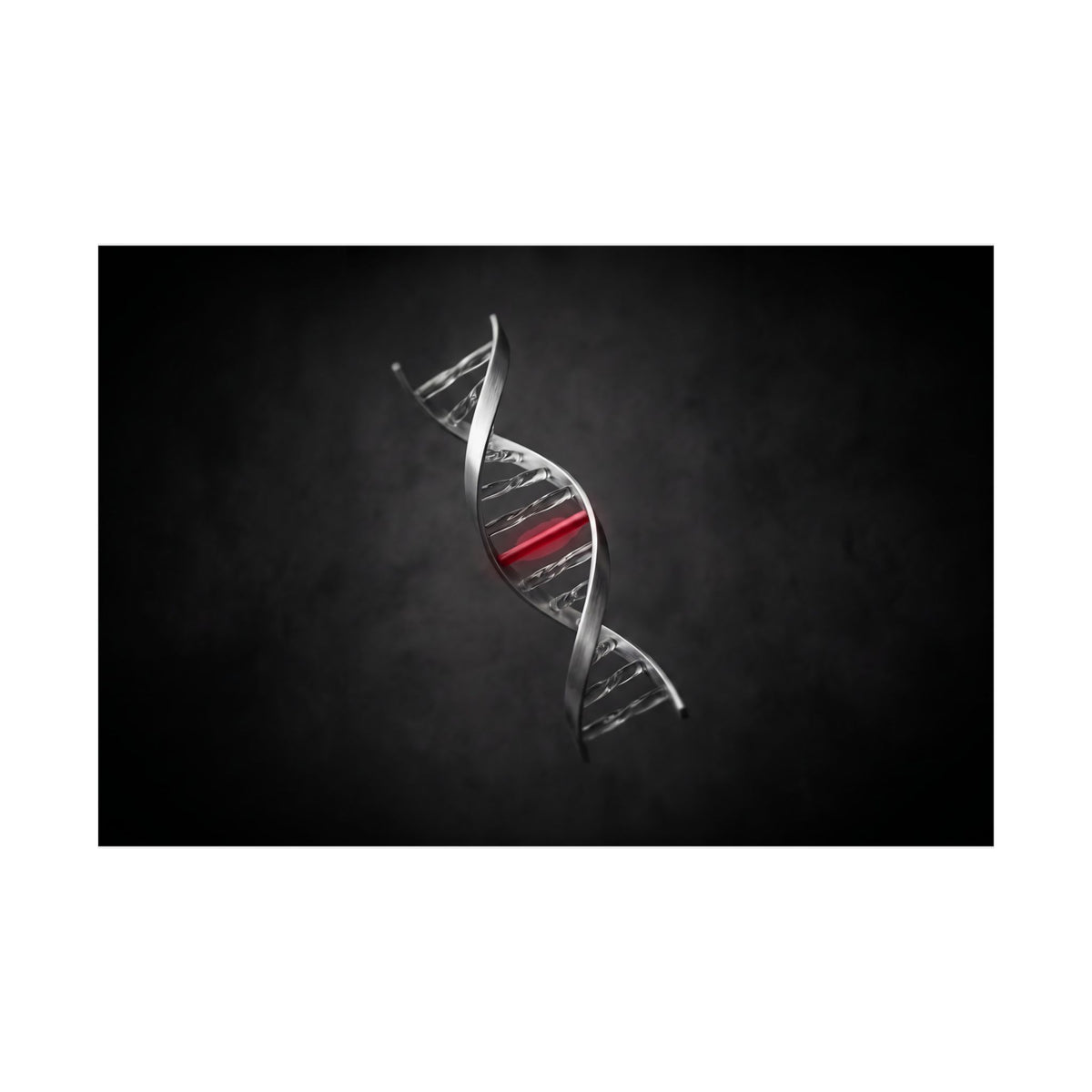 One Rung Different - Doctor's Office Wall Art | Matte Poster (Landscape)