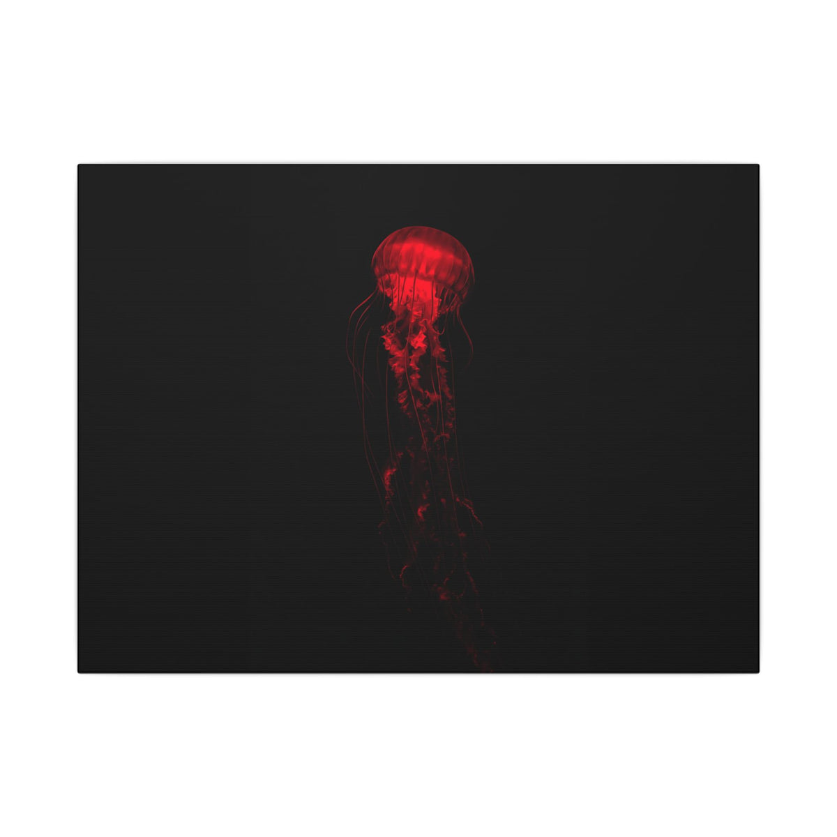 The Drifter - Red Wall Art Decor | Canvas (Landscape)