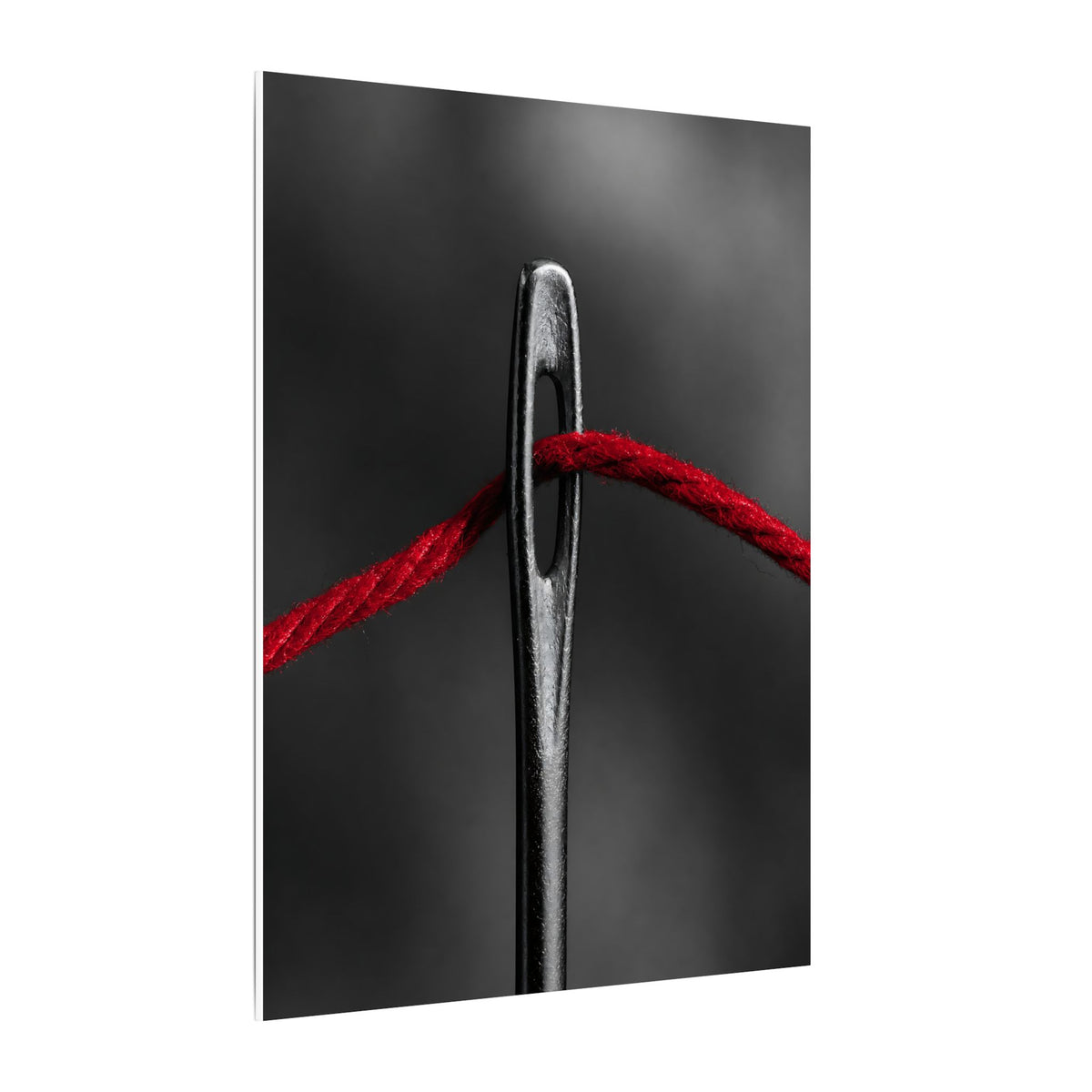 Through the Eye - Professional Office Wall Art | Canvas