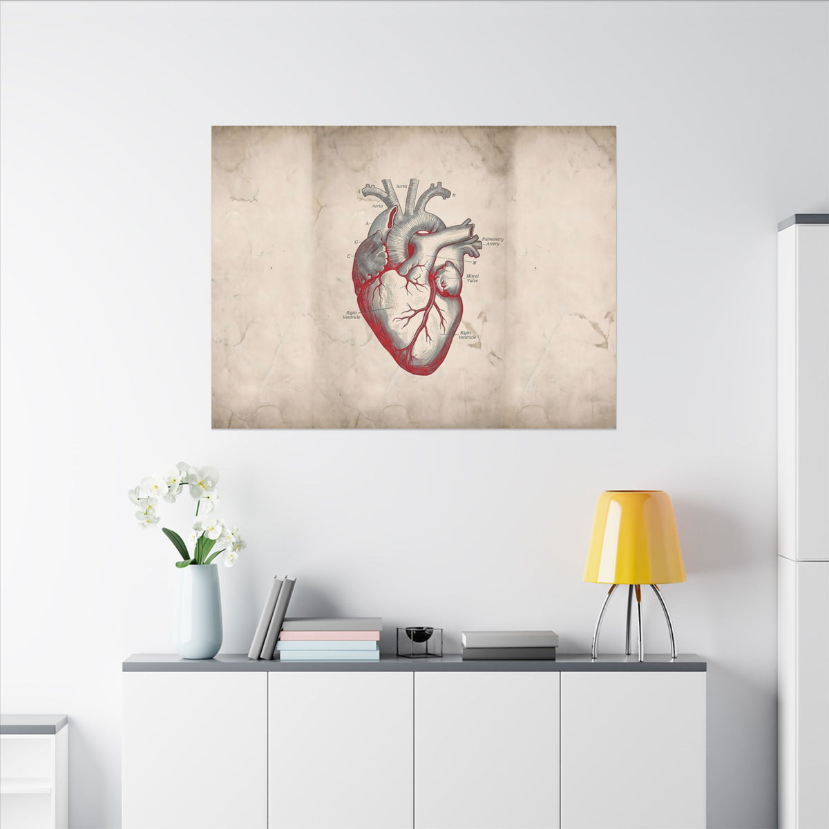 The Anatomical Heart - Wall Art For Doctor Office | Canvas (Landscape)