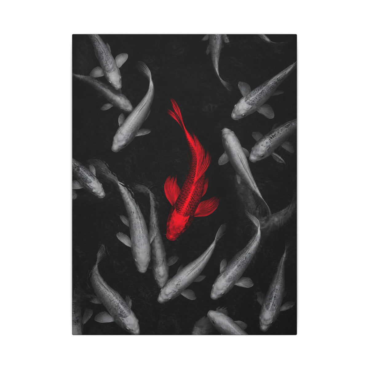 The Red Koi - Red And Black Wall Art | Canvas