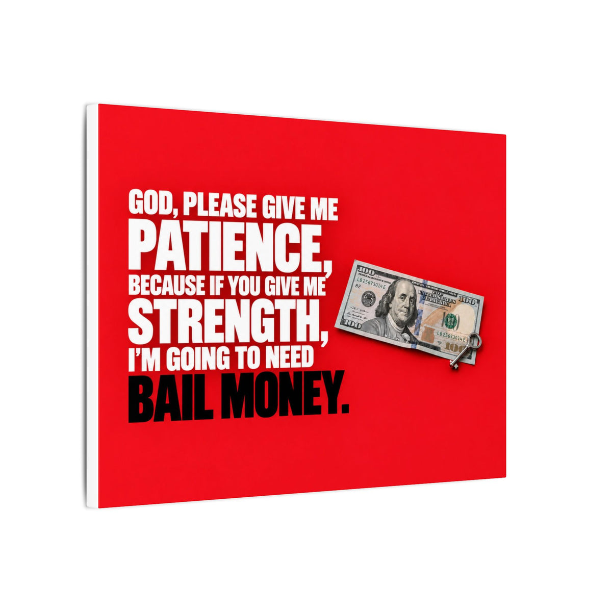 Bail Money - Meme Wall Art | Canvas (Landscape)