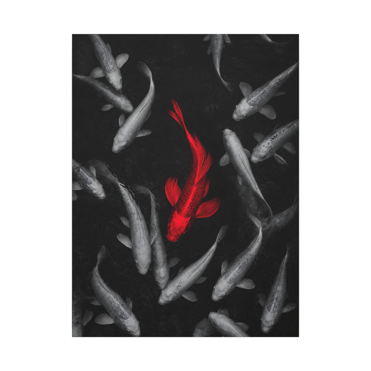 The Red Koi - Red And Black Wall Art | Canvas