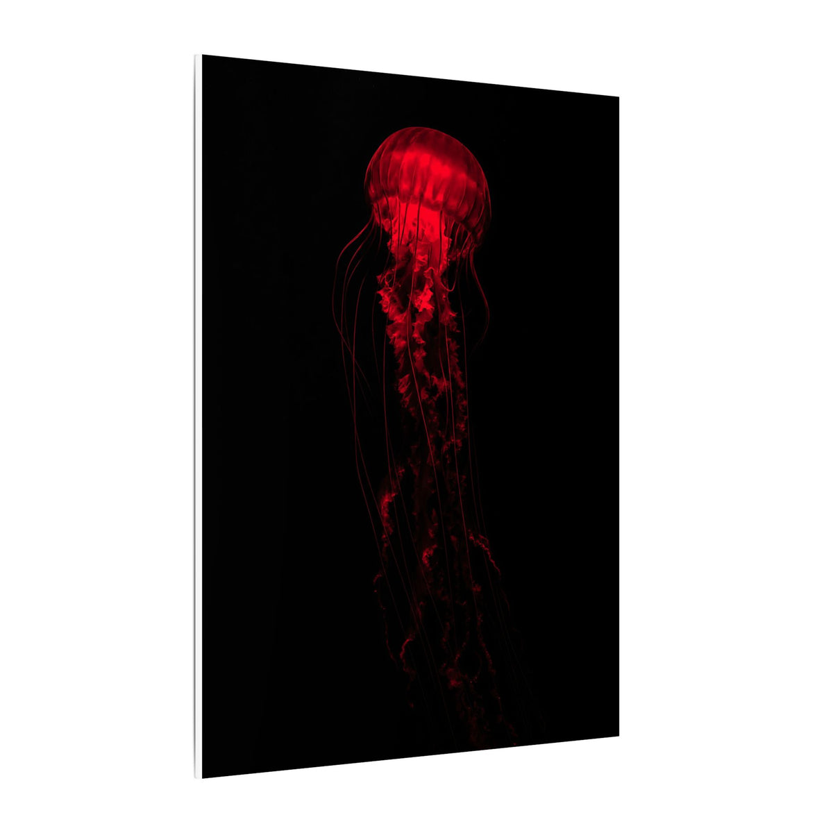 The Drifter - Red Wall Art Decor | Canvas