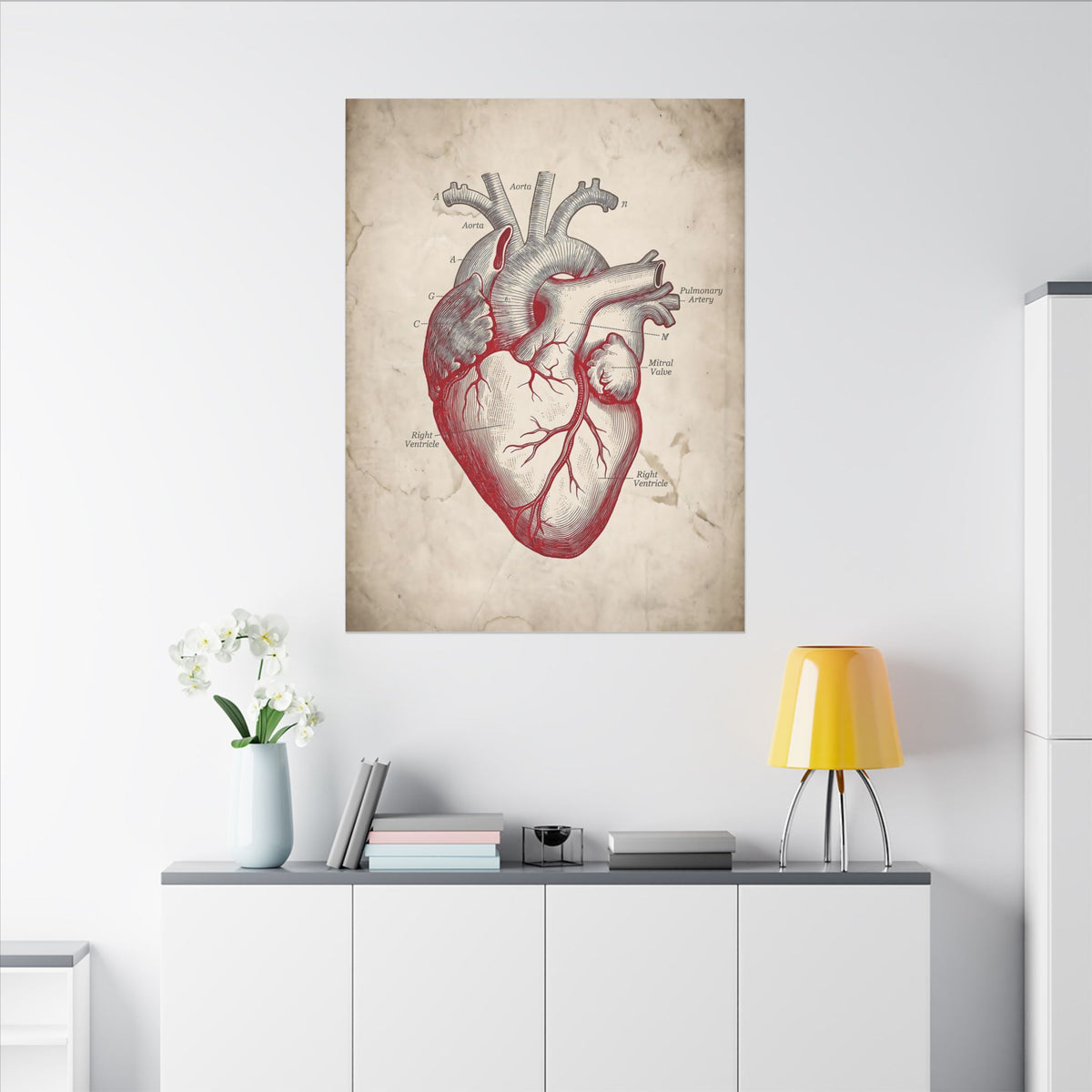 The Anatomical Heart - Wall Art For Doctor Office | Canvas