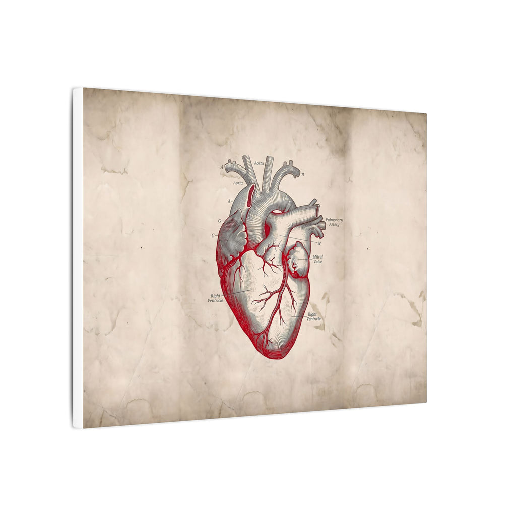 The Anatomical Heart - Wall Art For Doctor Office | Canvas (Landscape)