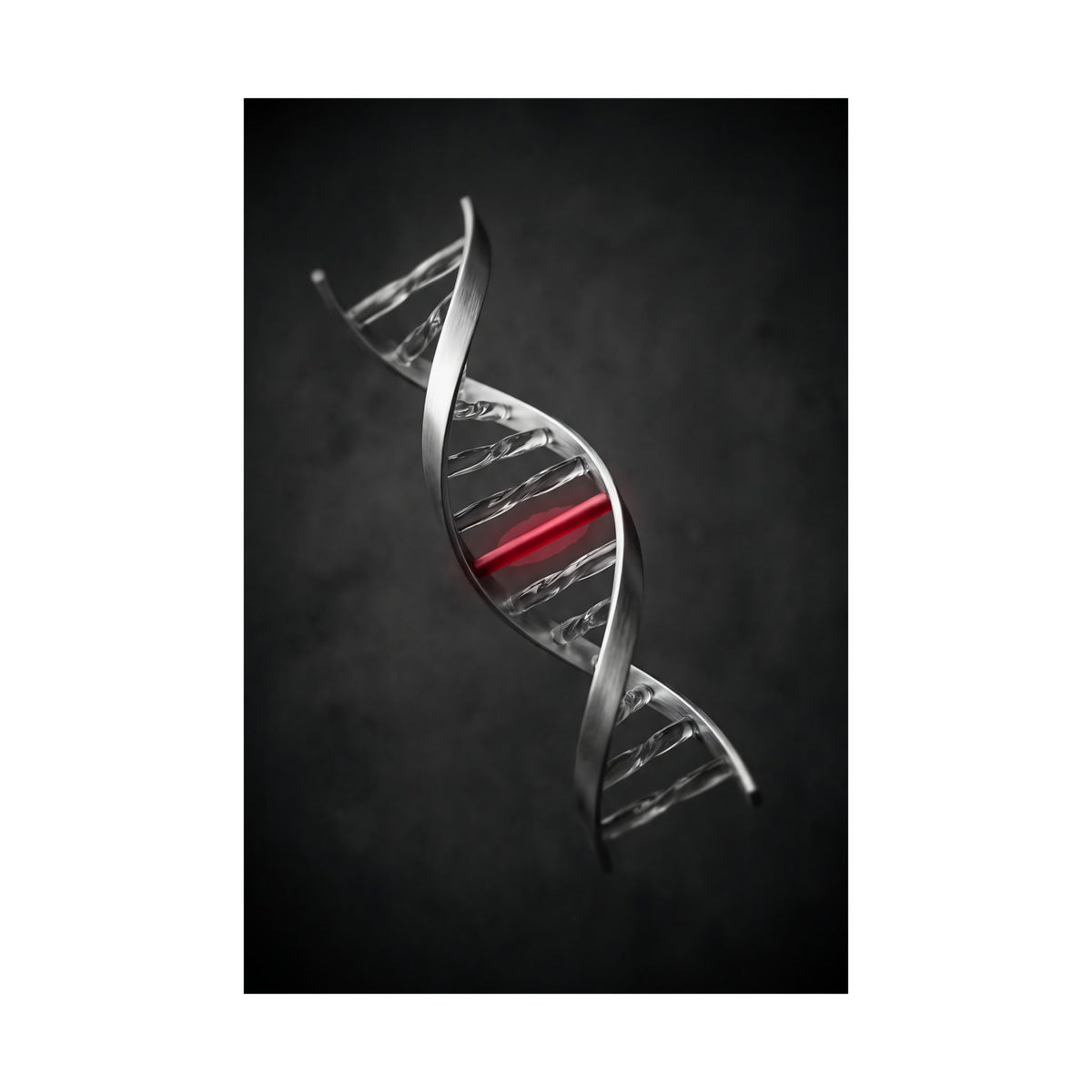 One Rung Different - Doctor's Office Wall Art | Matte Poster