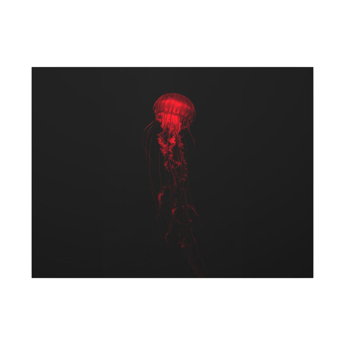 The Drifter - Red Wall Art Decor | Canvas (Landscape)