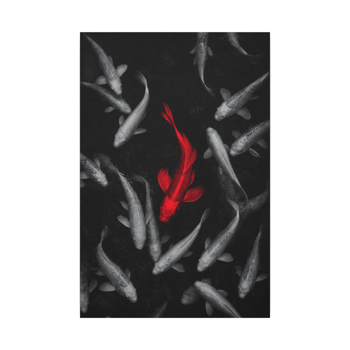 The Red Koi - Red And Black Wall Art | Canvas