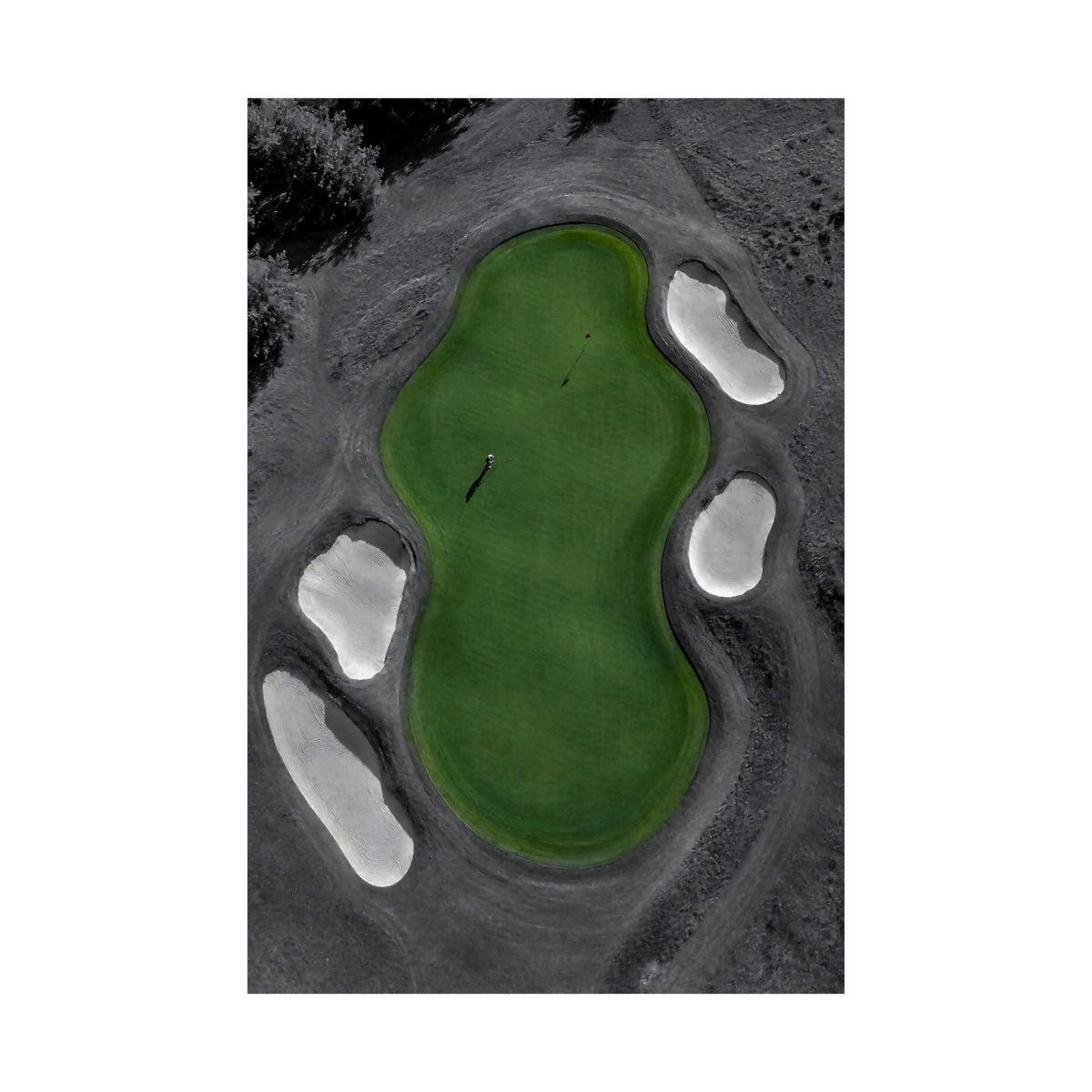 Aerial Solitude - Golf Course Wall Art | Matte Poster