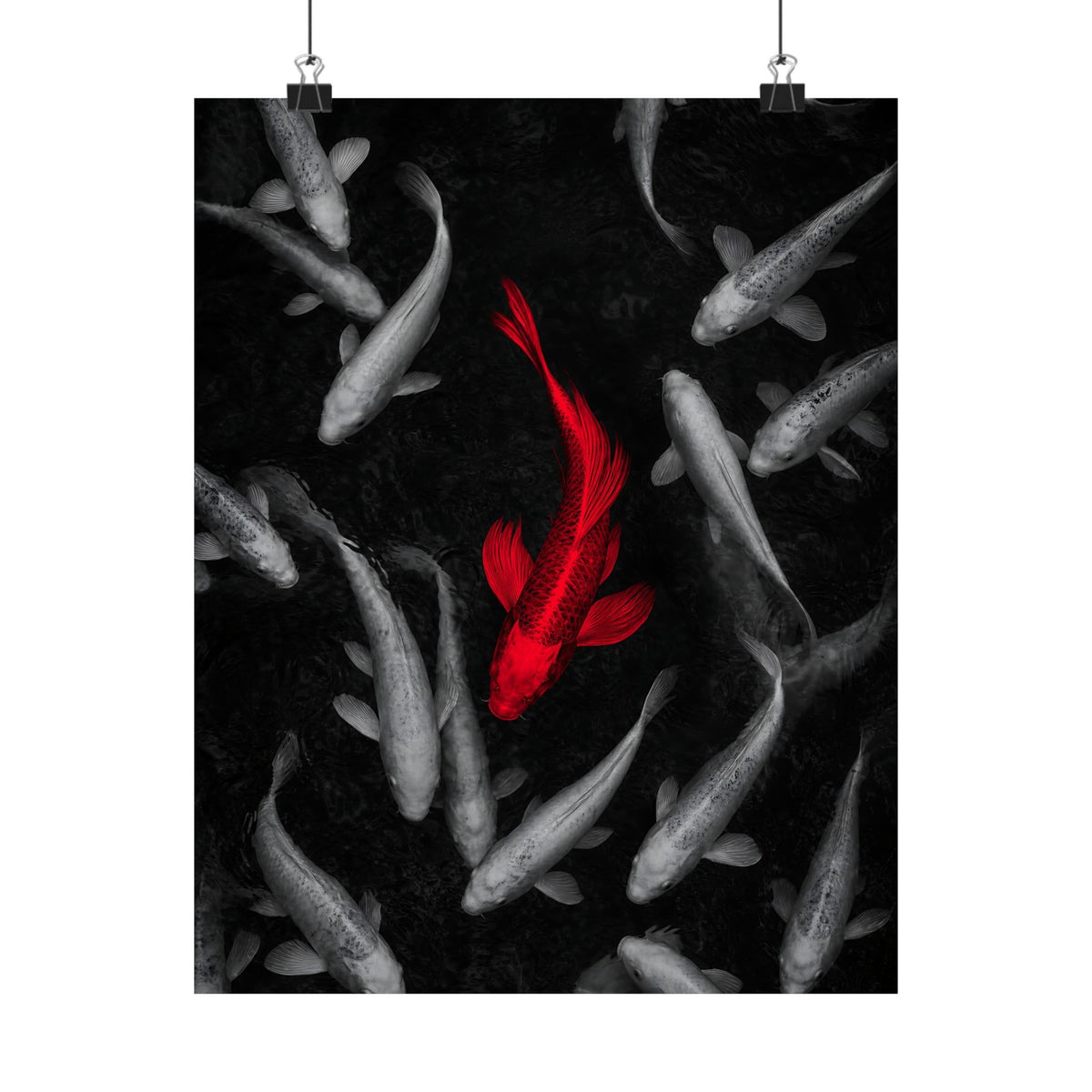 The Red Koi - Red And Black Wall Art | Matte Poster