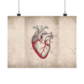 The Anatomical Heart - Wall Art For Doctor Office | Matte Poster (Landscape)