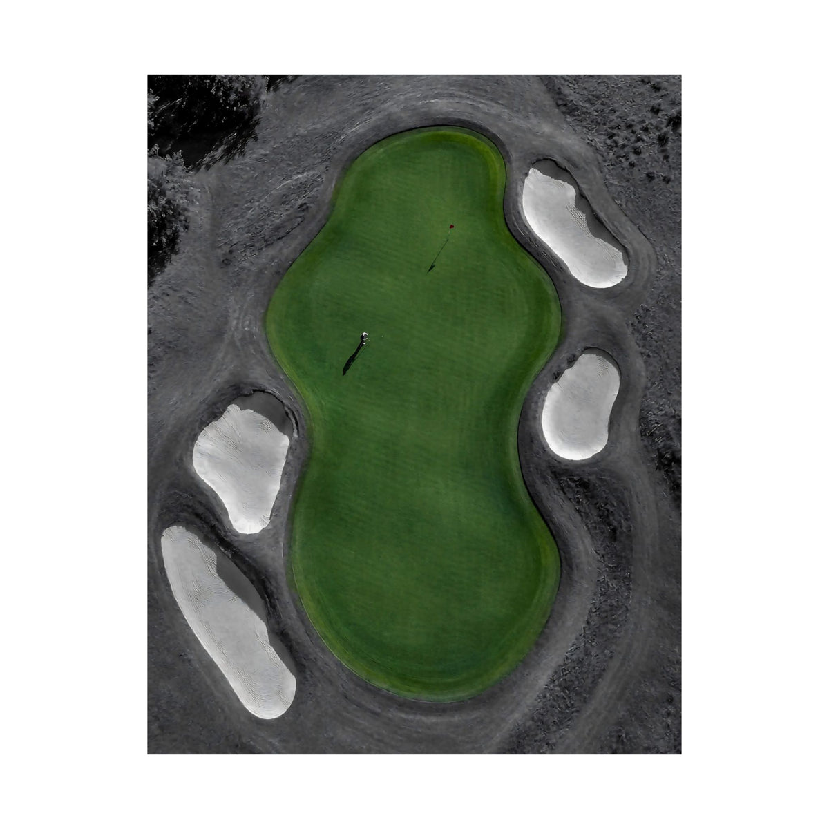 Aerial Solitude - Golf Course Wall Art | Matte Poster